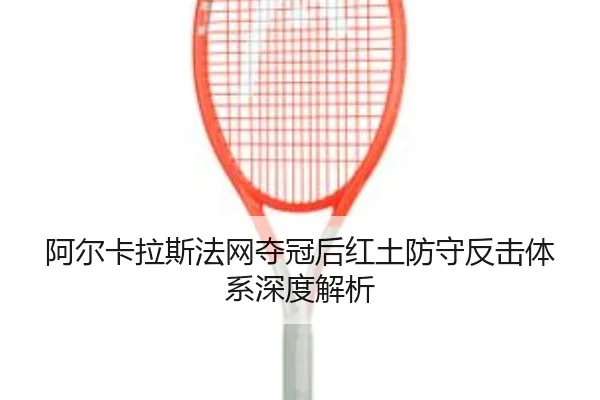 a-er-ka-la-si-fa-wang-duo-guan-hou-hong-tu-fang-shou-fan-ji-ti-xi-shen-du-jie-xi-2-394.jpg