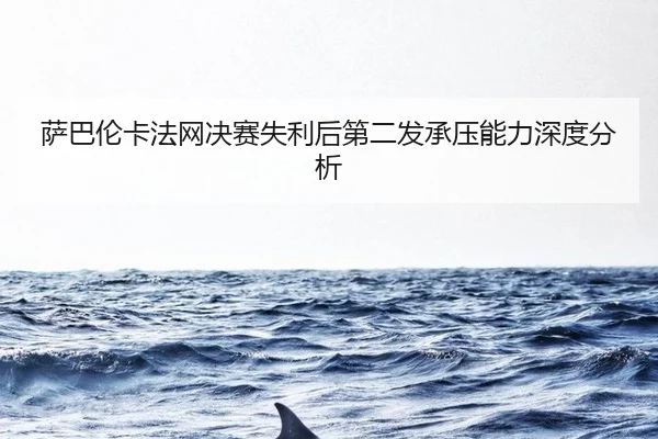 sa-ba-lun-ka-fa-wang-jue-sai-shi-li-hou-di-er-fa-cheng-ya-neng-li-shen-du-fen-xi-2-456.jpg